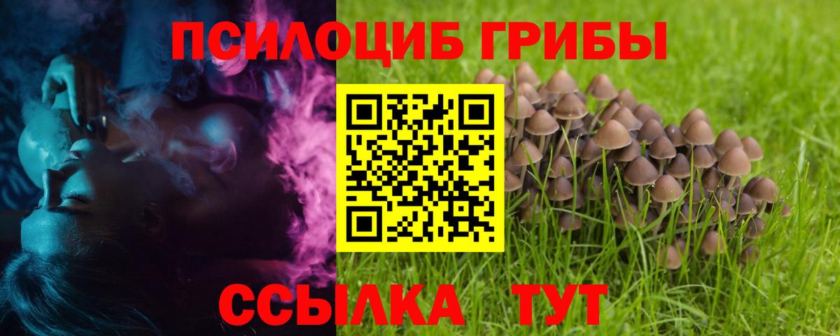 Саянск  Галлюциногенные грибы Psilocybe  Псилоцибиновые грибы Psilocybine cubensis  Вход с VPN 